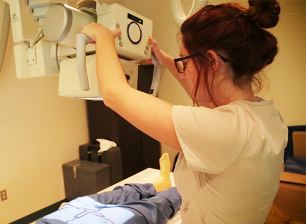 An HFC Radiographer student engages in a hands-on lab assignment. 