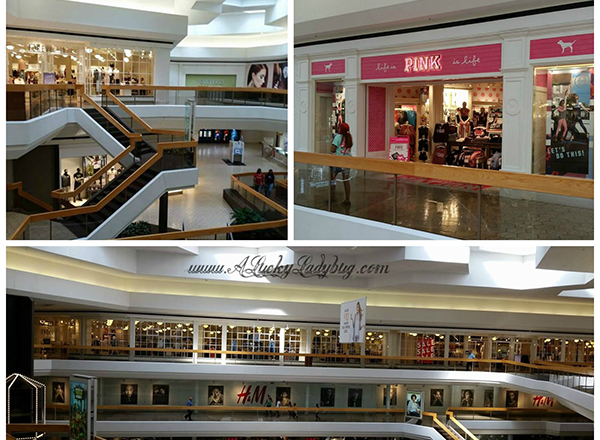 Interior shot of Fairlane Mall stores