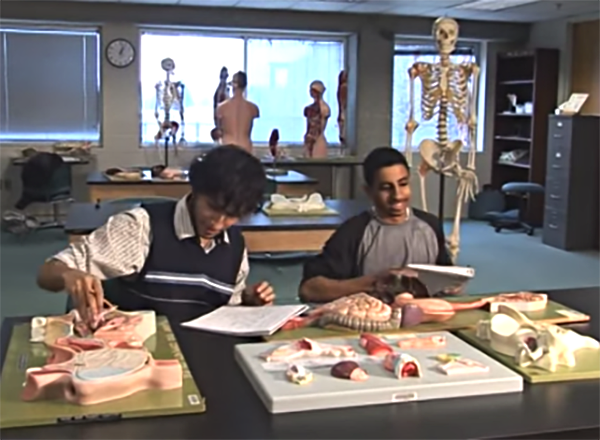 Two Henry Ford Early College students study in an anatomy lab