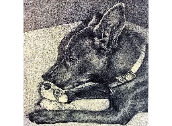 This realistic illustration of a dog is one of two pieces by Sherry Moore on display as part of the "Updates" exhibition. 