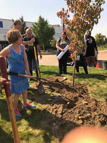 Biology faculty member Linda Brandt, left, who donated the tree and coordinated planting, helps dig too.