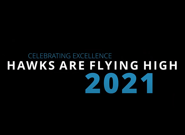 Hawks are flying high text art