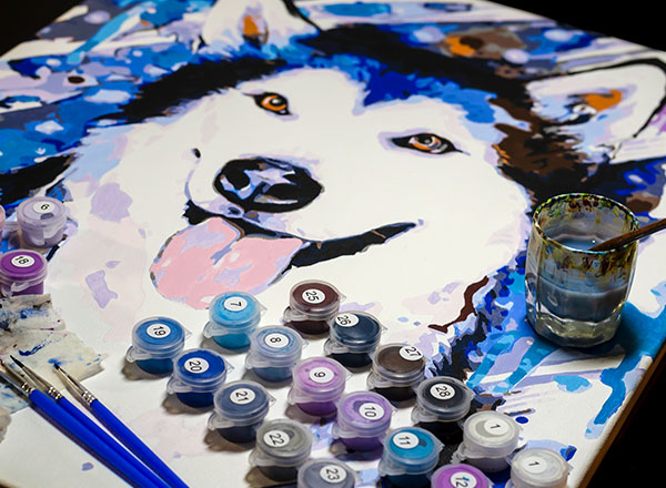 Paint by numbers kit of a husky.