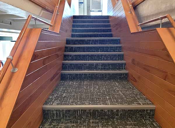 The newly-carpeted steps of the Eshleman Library. 