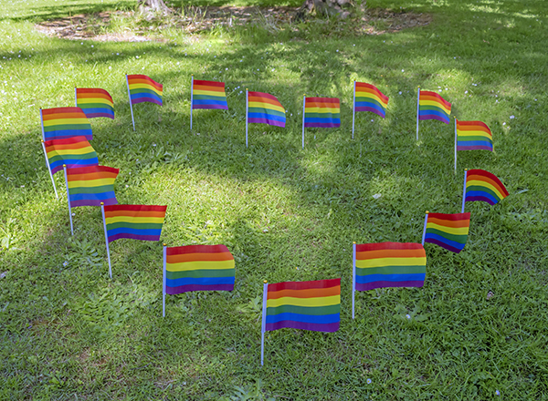 Small rainbow flags in grass