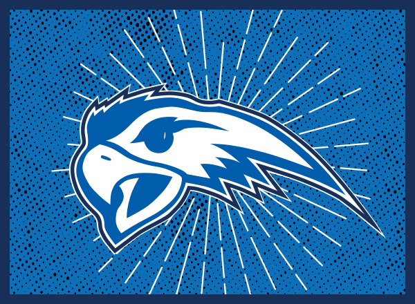 Hawk logo, stylized